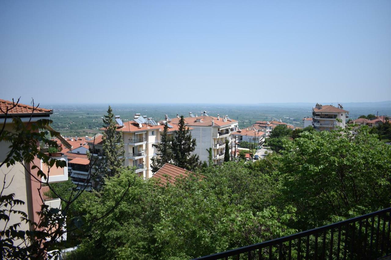 Small Apartment, Great View! Veria  Exteriör bild