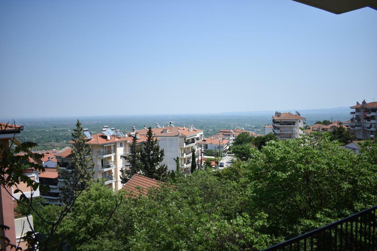 Small Apartment, Great View! Veria  Exteriör bild